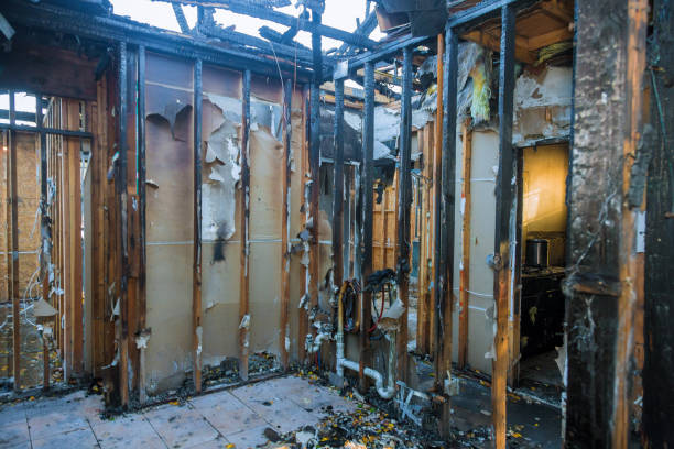 Professional Fire Damage Removal technician working in Orting, WA